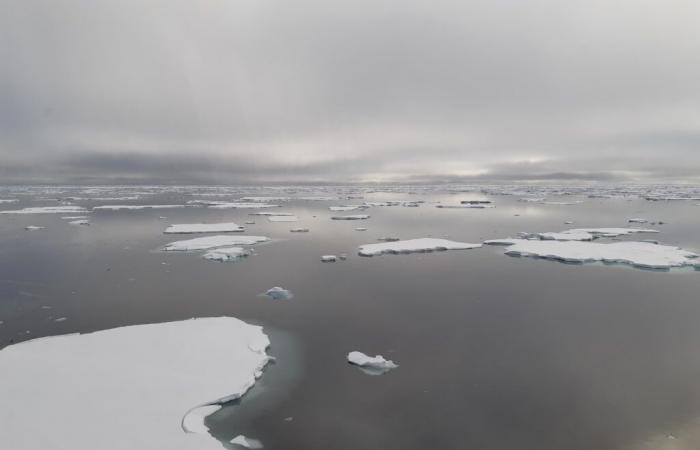 Recherches pour développer des capteurs dédiés à la navigation et à la cartographie des zones de glace