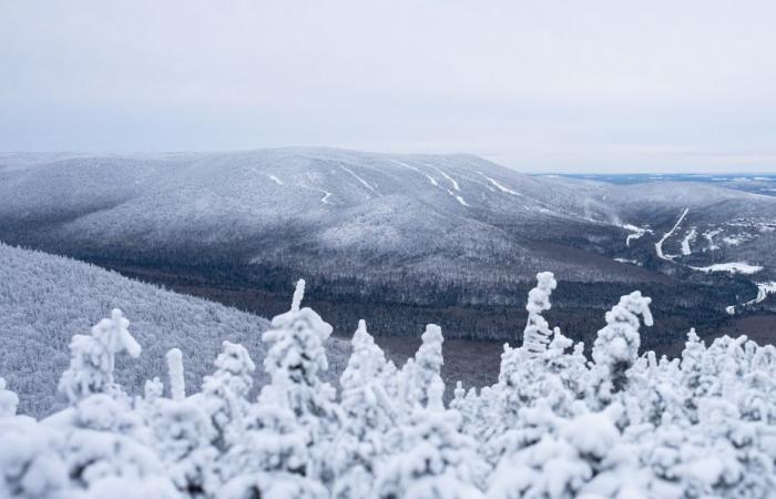 Ski alpin | Le Massif du Sud investit 75 millions avec l’aide du Québec