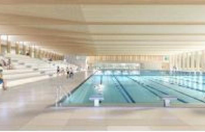 Une piscine olympique devrait voir le jour en 2029 au sud de la métropole nantaise