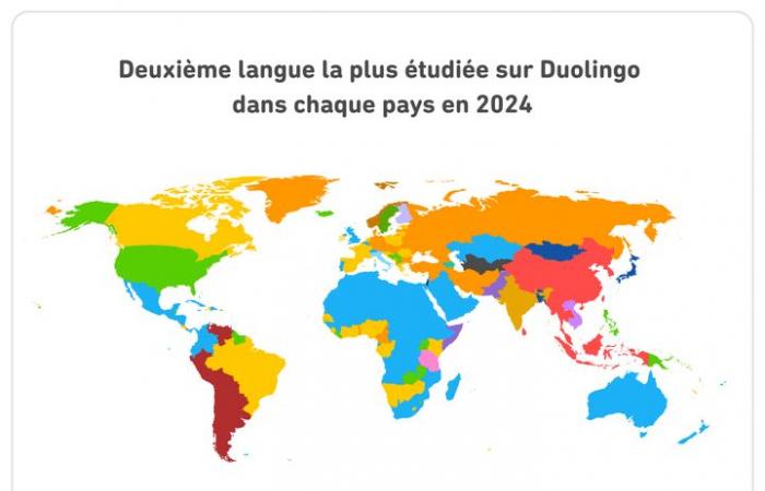 Anglais, espagnol, italien… Quelles langues arriveront en tête en 2024 sur l’application Duolingo ?