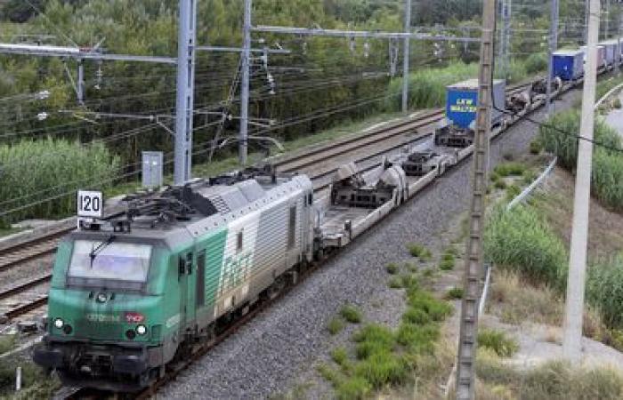 Les salariés de la SNCF expliquent leur grève contre le démantèlement de la filiale fret