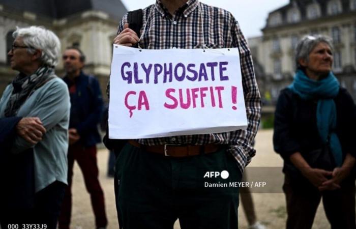 de nouvelles ONG portent plainte devant la justice européenne contre l’autorisation de cet herbicide jusqu’en 2033