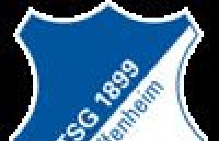 Hoffenheim vs Steaua Bucarest pronostics, cotes et conseils de paris