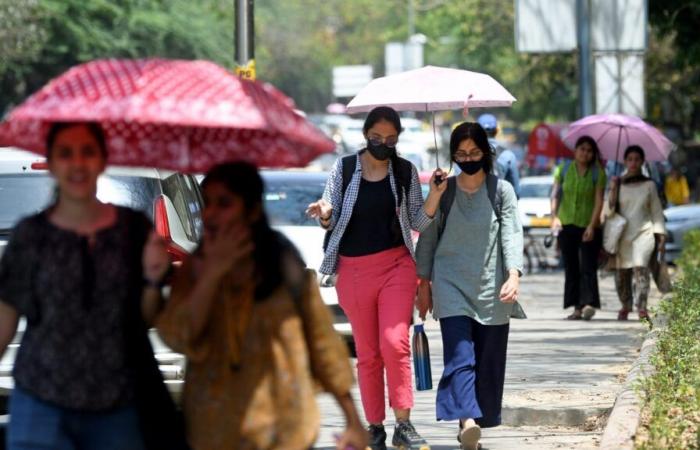 Météo du Pendjab et IQA aujourd’hui : consultez les prévisions météorologiques pour le 12 décembre 2024