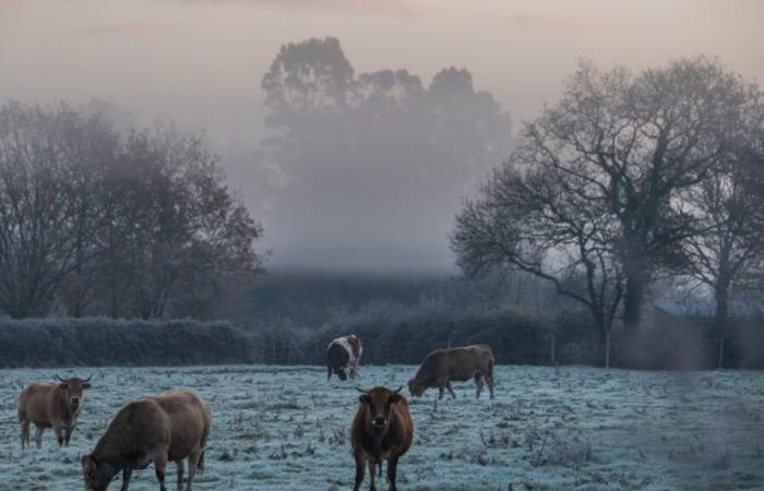 Le froid s’installe en France pour le week-end, ce vendredi sera la journée la plus fraîche