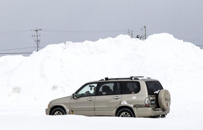 Avertissements météorologiques hivernaux pour 12 États alors que 17 pouces de neige tomberont