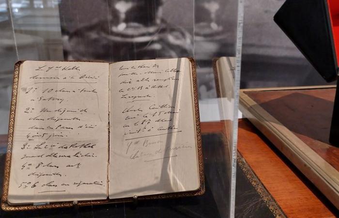 un manuscrit qui fait entrer de Gaulle « dans une nouvelle étape de sa carrière littéraire »