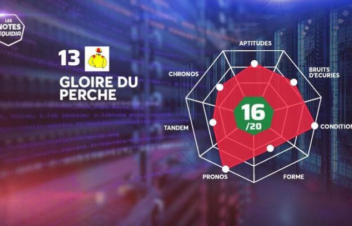 Les Notes des partants du Quinté+ de ce vendredi 13 décembre