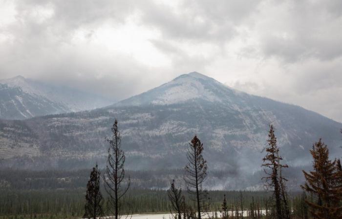 Les incendies de forêt au Canada liés à une augmentation des visites médicales aux États-Unis