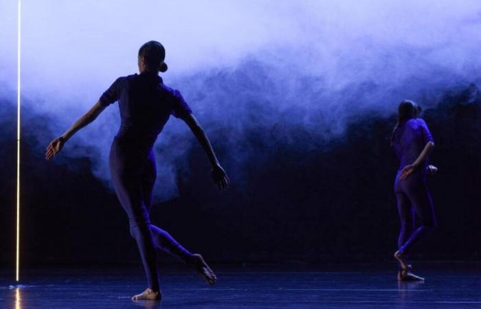 Au Pavillon ADC à Genève, la plage miraculeuse de la chorégraphe Cindy Van Acker et de ses danseurs