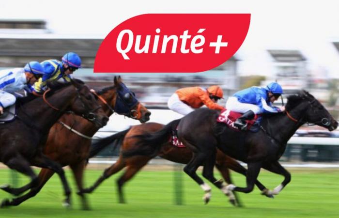 Quinté+ prediction for Saturday December 14 at Chantilly: Prix de Caumont