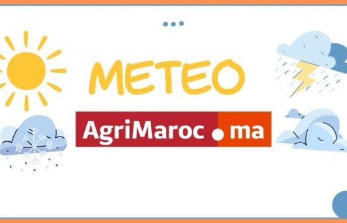 Prévisions météo du samedi 14 décembre 2024 – AgriMaroc.ma