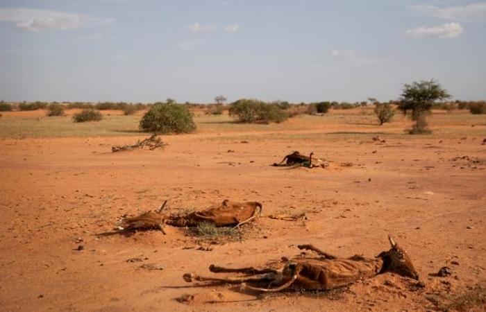 La conférence sur la désertification se termine à Riyad sans parvenir à un accord sur la lutte contre la sécheresse