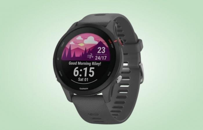 Comment Cdiscount fait-il pour proposer cette montre Garmin à un prix aussi bas ?