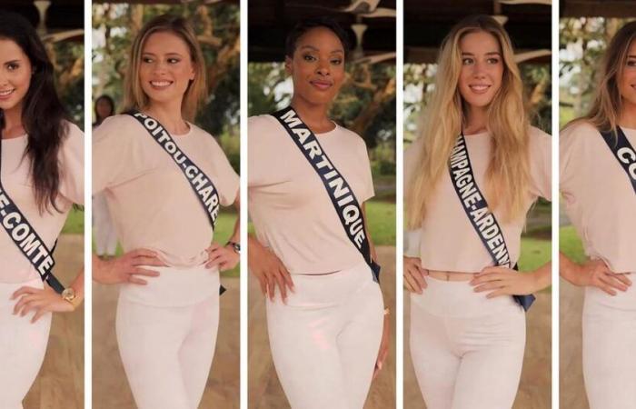 Martinique, Corse, Limousin… Pourquoi certaines régions ne gagnent jamais (ou presque) à Miss France ?