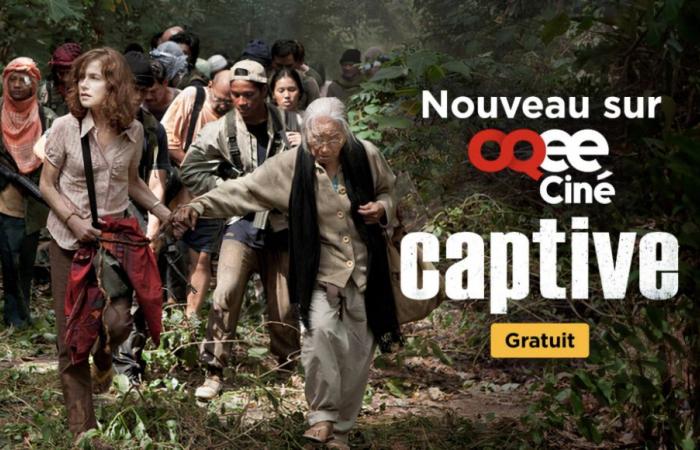 7 nouveaux films disponibles sans surcoût pour les abonnés Freebox et Free Mobile