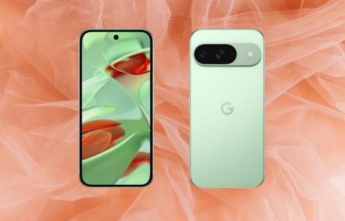 Le Google Pixel 9 voit son prix baisser et il sera sous le sapin à -