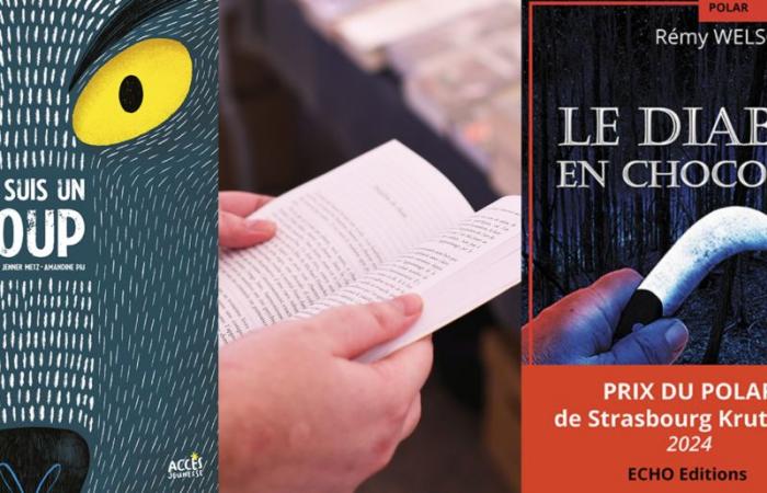 13 livres 100% strasbourgeois et alsaciens à offrir pour Noël