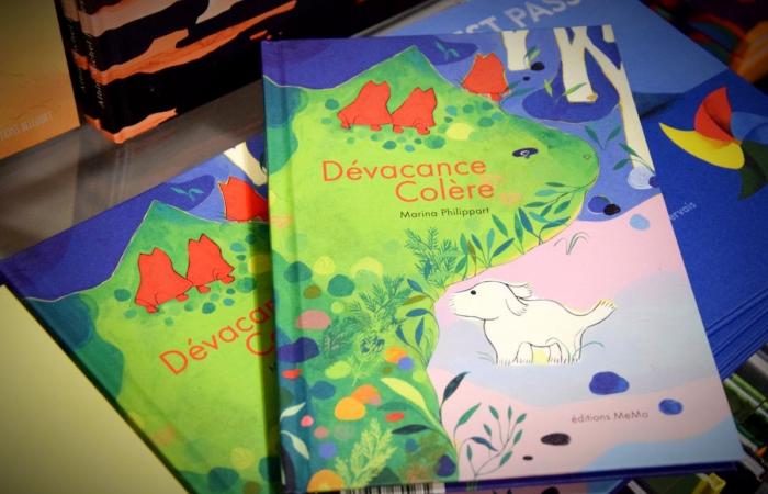 10 livres jeunesse bruxellois beaux comme des camions, à offrir à vos enfants de 3 à 15 ans