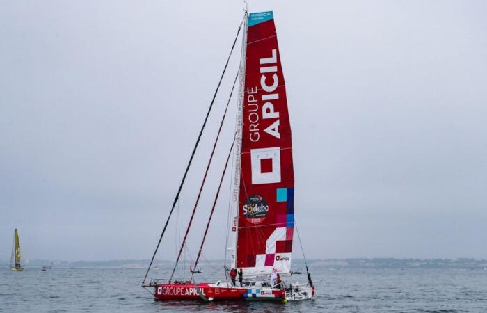 Touché mais pas coulé, Damien Séguin s’est blessé alors qu’il tentait de réparer son bateau