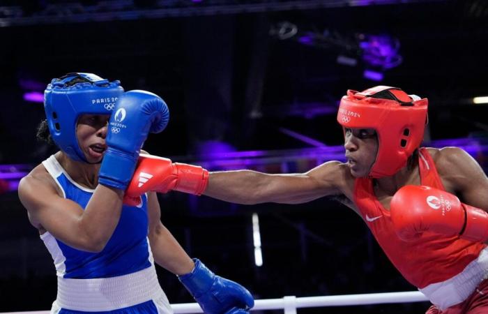 Dominique Nato réélu à la tête de la Fédération française de boxe