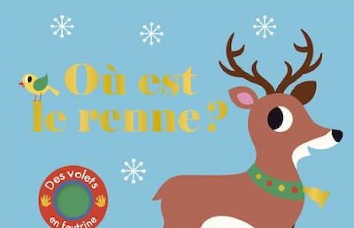 Voici une sélection de livres de Noël qui vont adorer les jeunes !