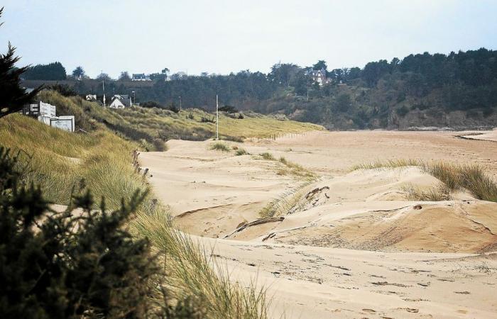 Au passage de Darragh, les dunes des Sables d’Or se sont déplacées [En images]