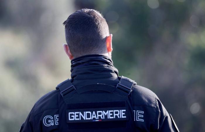 Cinq personnes tuées, le meurtrier présumé s’est rendu à la gendarmerie