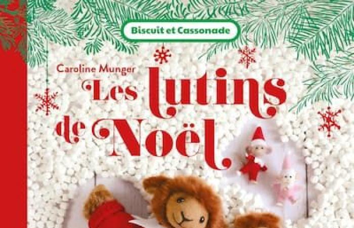 Voici une sélection de livres de Noël qui vont adorer les jeunes !