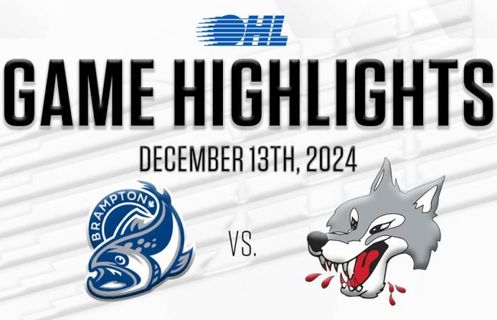 Steelheads de Brampton @ Wolves de Sudbury 13 décembre 2024