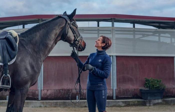 Piaffer sans trahir son cheval ? Au CHI, Antonella Joannou veut montrer que « le dressage peut se faire dans le respect »