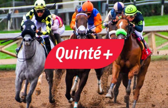 Pronostic Quinté+ du dimanche 15 décembre à Vincennes : Prix Jean Dumouch