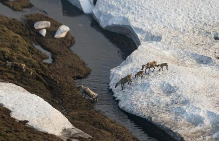 L’Alaska est victime et coupable du climat. Trump 2.0 ne fera qu’empirer les choses