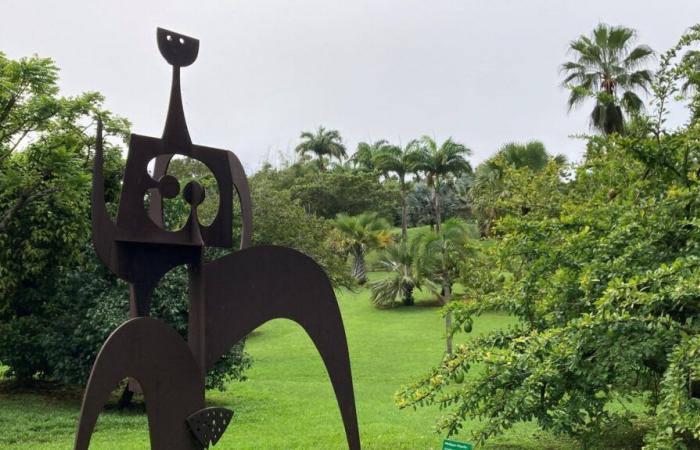 En Martinique, l’Habitation Clément allie histoire et art contemporain dans un cadre exceptionnel