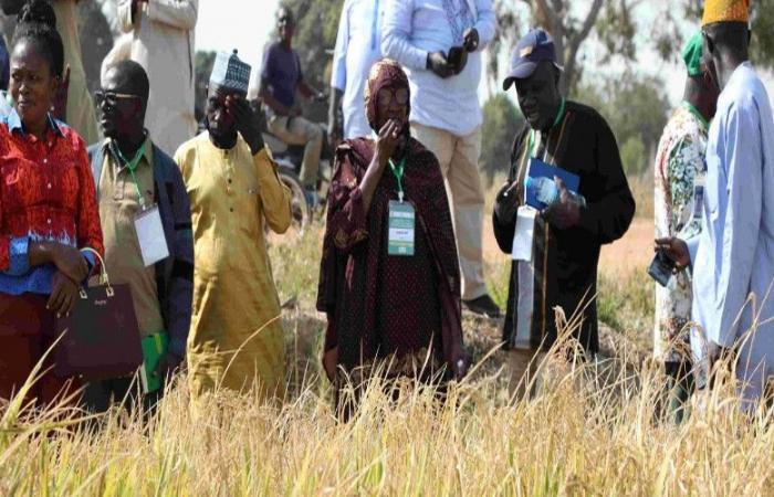 discussions clés sur l’irrigation et la mécanisation – VivAfrik