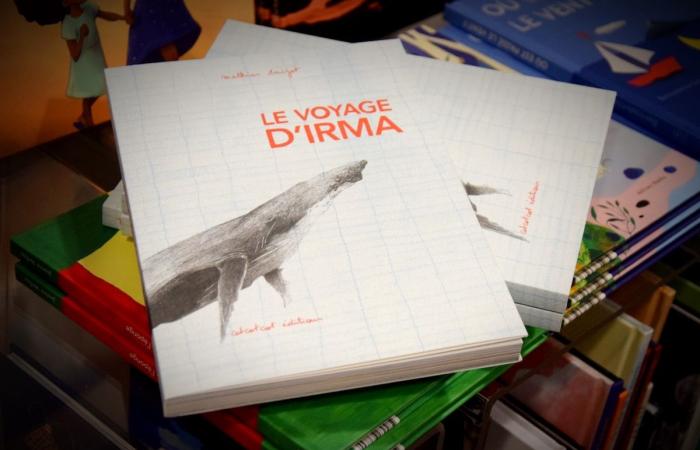 10 livres jeunesse bruxellois beaux comme des camions, à offrir à vos enfants de 3 à 15 ans