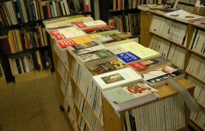 « Il n’y aura pas de marché du livre ni d’économie s’il n’y a plus assez de lecteurs »