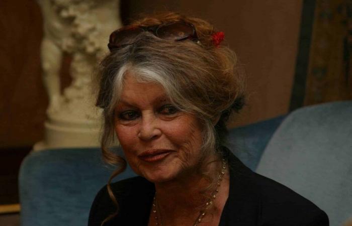 Brigitte Bardot perd le contrôle dans sa maison varoise : « A cause de ce m… »