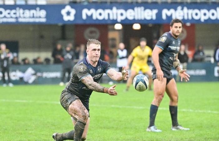 le Challenge, une compétition utile pour Montpellier ? «Oui», promet Joan Caudullo