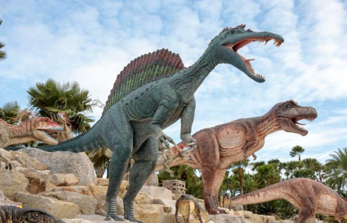 « Une découverte surprenante… » Ce qui a été trouvé dans ces crottes de dinosaures n’était pas attendu