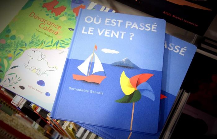 10 livres jeunesse bruxellois beaux comme des camions, à offrir à vos enfants de 3 à 15 ans