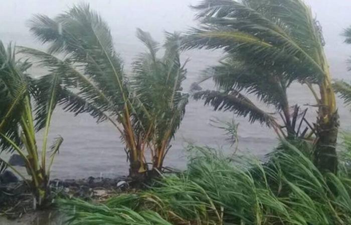 à Mayotte, en alerte violette, les habitants barricadés face au cyclone Chido ce samedi – Libération