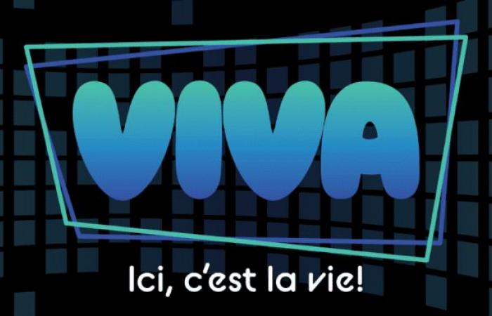 Les radios Plaisir, du réseau Arsenal Media, deviennent VIVA