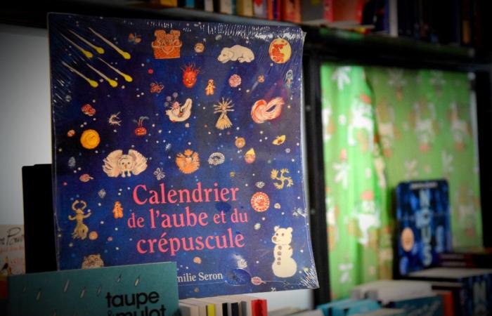 10 livres jeunesse bruxellois beaux comme des camions, à offrir à vos enfants de 3 à 15 ans