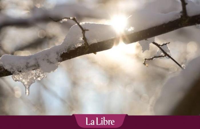 De la neige est annoncée en Belgique : à quoi faut-il s’attendre ?