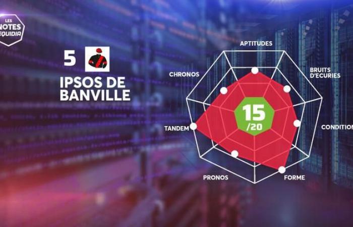 Les Notes des partants du Quinté+ de ce samedi 14 décembre