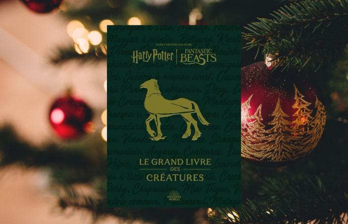 6 idées cadeaux pour les fans d’Harry Potter