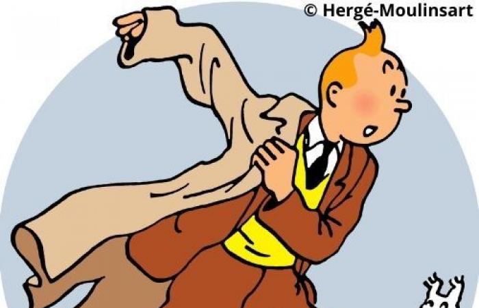 Ces 5 phrases ont-elles été prononcées par Astérix ou Tintin ?