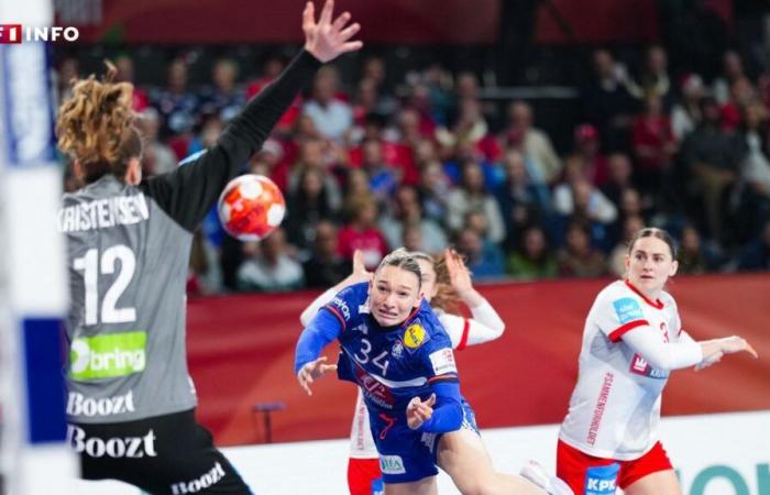 les Azzurri échouent aux portes de la finale des Championnats d’Europe de handball