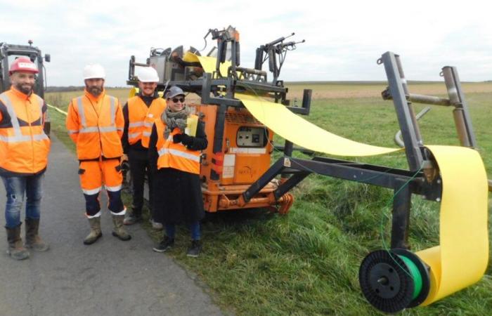 un réseau de distribution de gaz vert